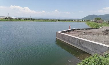 Las 19 presas de Morelos no alcanzan ni el 30 por ciento de su aforo: Ceagua