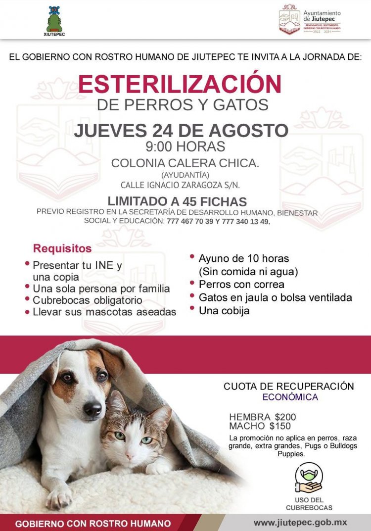 En Jiutepec, durante 2023 se ha esterilizado a mil 519 mascotas