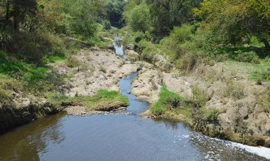 Confirman disminución del caudal del río Cuautla