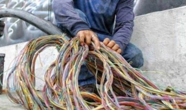 Telmex es la compañía más afectada por robo de cable, según documentan