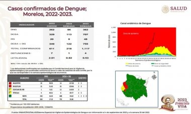 Ya son cuatro las muertes por dengue en Morelos