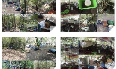 Desmantelan narcolaboratorio en la  Sierra de Huautla en operativo mixto