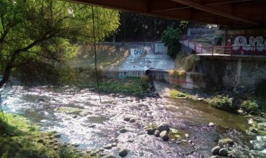 Ecologistas advierten del daño climático por la tala