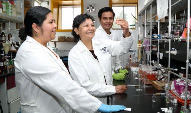Investigan en la UAEM propiedades del copal para tratamiento de cáncer