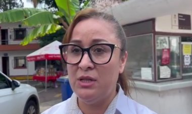 En Cuernavaca, 20 por ciento de los  árboles, en riesgo de colapso