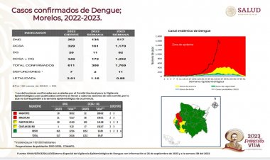 Ya son 11 las defunciones  por el dengue en Morelos
