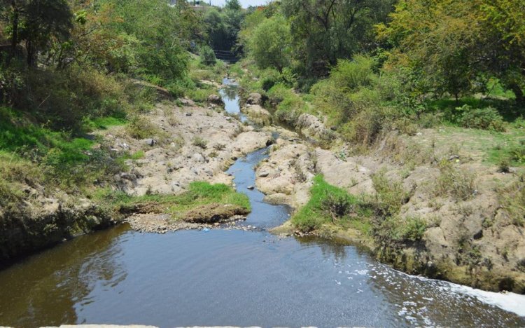 Confirman disminución del caudal del río Cuautla