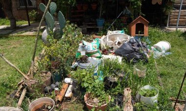 Esperan que escasez de lluvia incida en una baja en el dengue