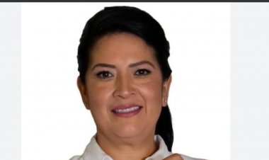 ¨Cada diputado es responsable de sus actos¨: Mirna Zavala