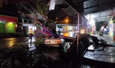 Daños en el estadio Agustín Coruco Díaz dejaron las lluvias
