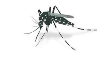 Más de dos millares de morelenses,  alcanzados al momento por dengue