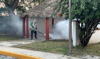 Critican a Juana Ocampo D.  por no actuar ante el dengue