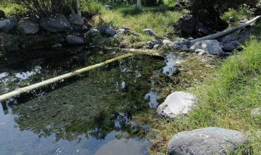 Roban agua en detrimento de la producción agrícola