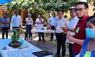 ONG denuncia: cabildos en  la entidad son desordenados