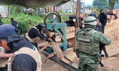 En Huitzilac operan talamontes que vienen desde Guerrero y Michoacán