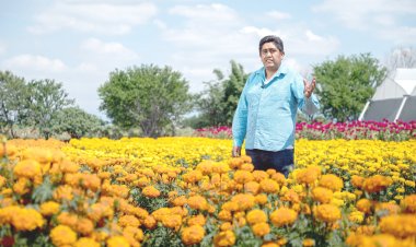 Llaman productores a mantener vivas  tradiciones con la flor de cempasúchil