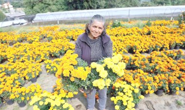 Invitan a visitar los viveros de Tetela del Monte en la capital