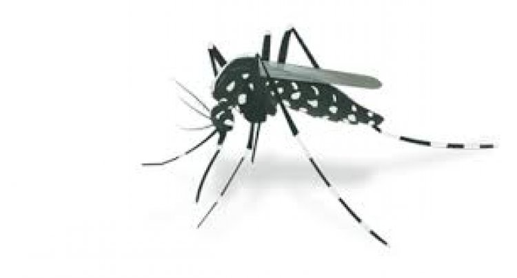 Más de dos millares de morelenses,  alcanzados al momento por dengue