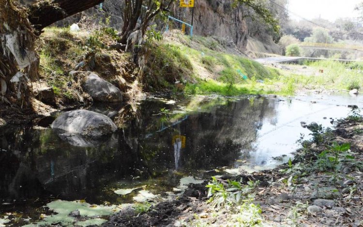 Con humedales, se pretende bajar polución del Río Cuautla