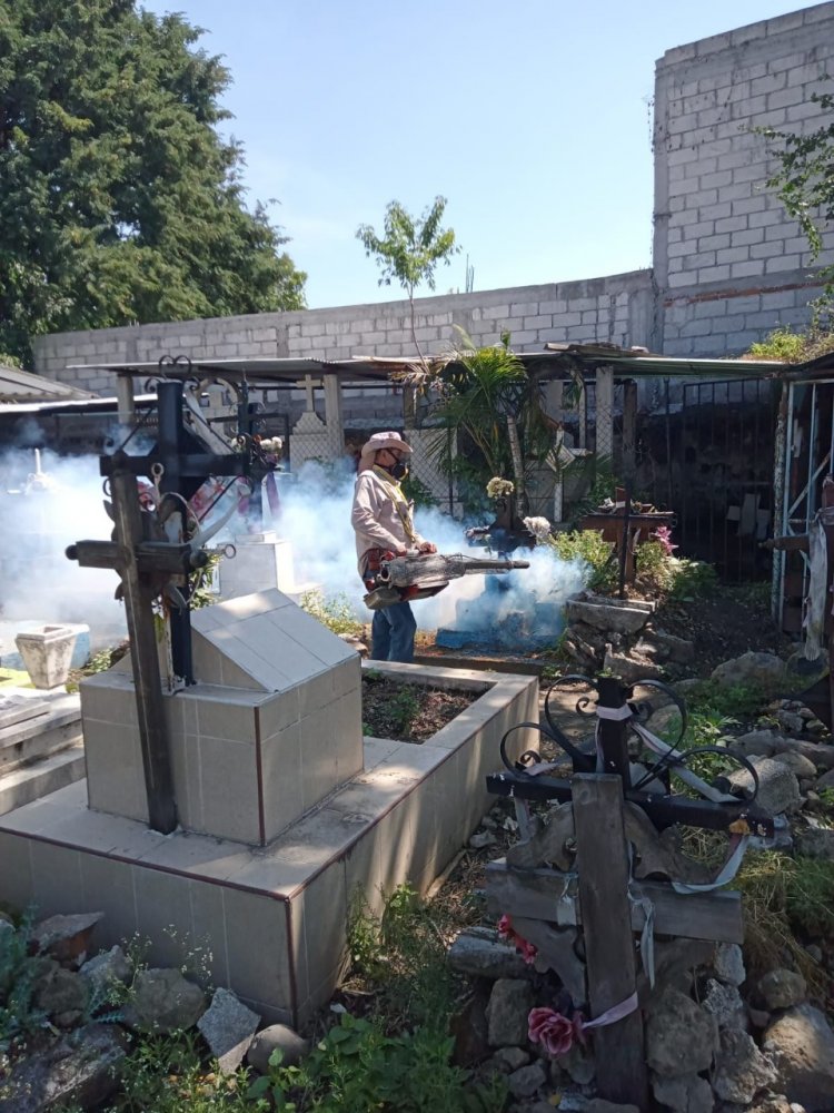 En Cuautla, combaten al dengue en  panteones, previo a Día de Muertos