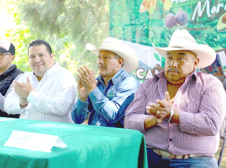 En Los Altos de Morelos certificaron a productores de aguacate y limón