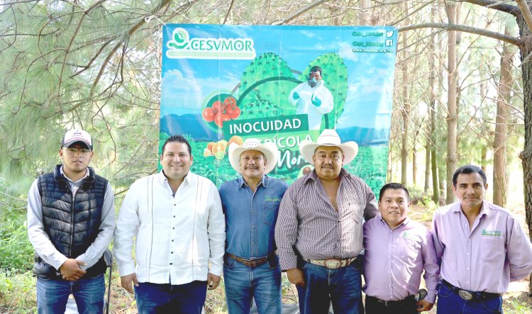 En Los Altos de Morelos certificaron a productores de aguacate y limón