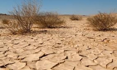 Ya se analiza con los productores  soluciones ante la falta de lluvias