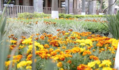 La Plaza de Armas de Cuernavaca está adornada bellamente con coloridas flores