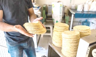 Más del 95 por ciento de tortillerías pagan el "derecho de piso"