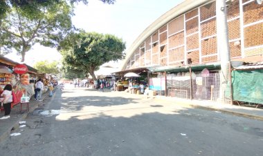 Tras retrasos y pleitos, finalmente se Inició ya reparación del mercado ALM