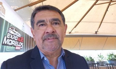 Morelos tiene abasto del 75 por ciento de autos