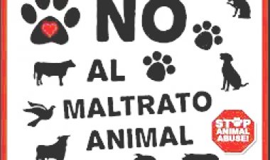 Por ser posible culpable de crueldad animal, se va a juicio Ma. del Carmen