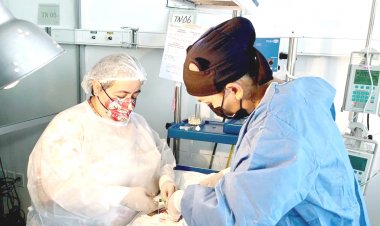 En Día Mundial del Prematuro. IMSS informa de la atención especializada