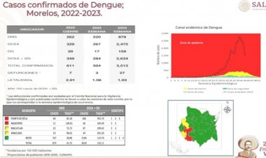 Son ya 27 muertes asociadas  al dengue en la semana 45
