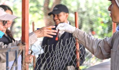 En Morelos se sigue el combate a la brucelosis en los ovicaprinos