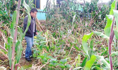 Calculan en 500 mdp la inversión para lograr que el campo produzca