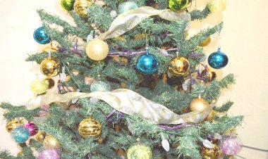 Bomberos de Cuautla piden cuidado extremo al utilizar las luces navideñas