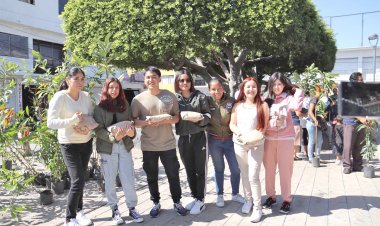 Se impulsan los huertos de traspatio en Jiutepec para incentivar el autoconsumo