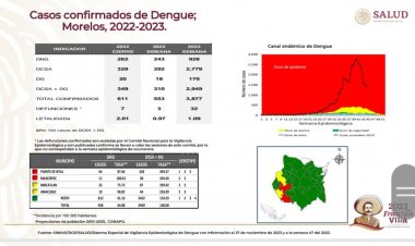 Suman 32 muertes por dengue en Morelos