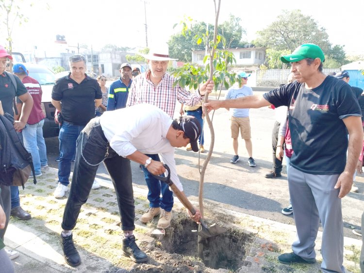 El gobierno de Rodrigo Arredondo y habitantes reforestan una carretera
