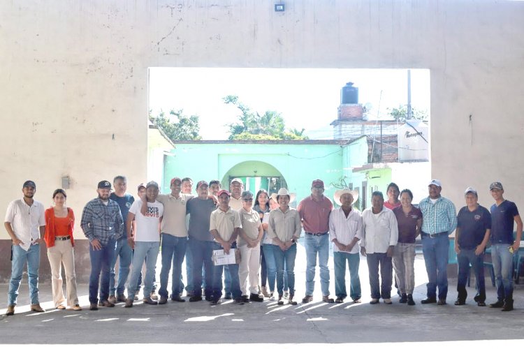 En Morelos se sigue el combate a la brucelosis en los ovicaprinos