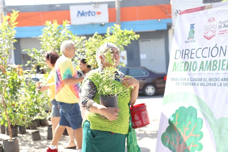 Se impulsan los huertos de traspatio en Jiutepec para incentivar el autoconsumo