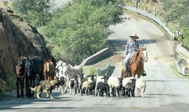 Productores agropecuarios se quejan: no tienen apoyo alguno