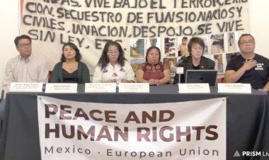 Observadores europeos consideran urgente atender a grupos vulnerables ante violencia