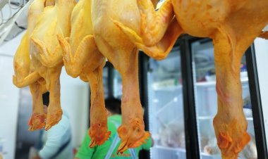 Comerciantes compran más caro el pollo pero mantienen precio