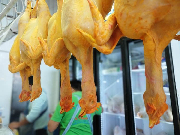 Comerciantes compran más caro el pollo pero mantienen precio