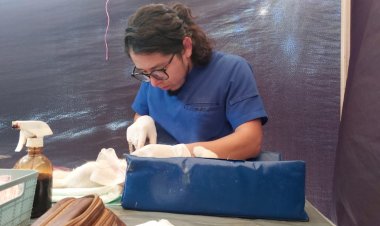 Inició programa de esterilización de  perros y gatos en Jiutepec