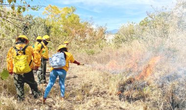 Concluyeron combatientes forestales curso básico sobre manejo del fuego