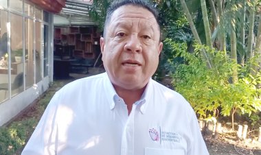 Inicia campaña para recolección de árboles de Navidad en Morelos