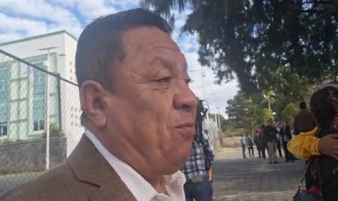 No hay entusiasmo en recolección de árboles navideños